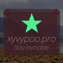 xyvypoo.pro